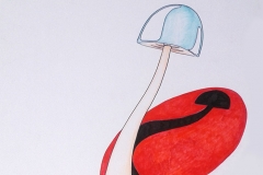 Mushroom 5